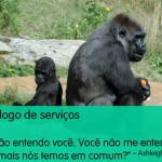 Armadilha 8 - Seu catálogo é uma babel?