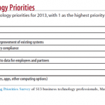 2013 Business Tech Priorities