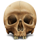 icon_Skull