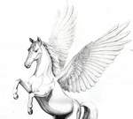 pegaso