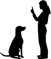 teach-dog